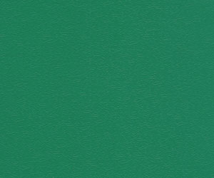 羽毛球專業(yè)型柳葉紋