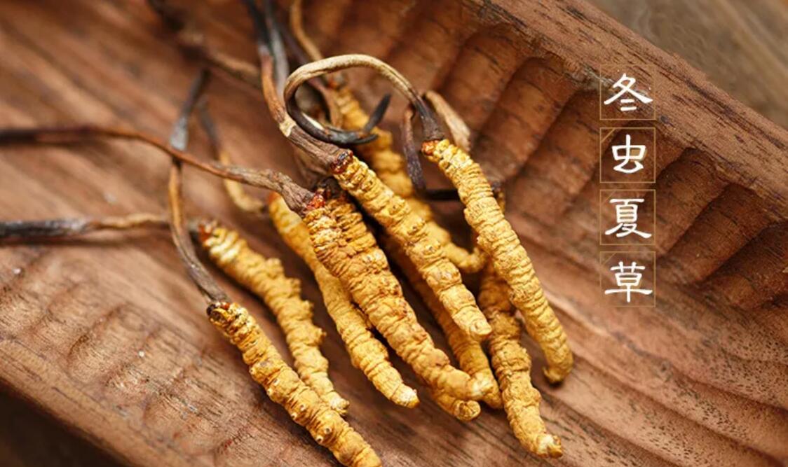什么時(shí)候吃冬蟲夏草作用最好,冬蟲夏草何時(shí)吃效果最好