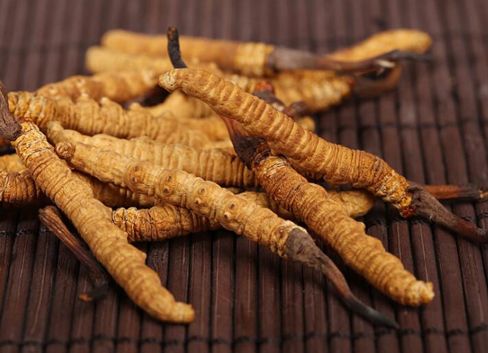 什么樣的冬蟲夏草算是優(yōu)質的？
