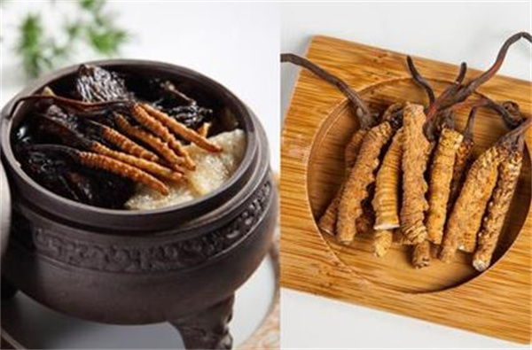 冬蟲(chóng)夏草和浮魚(yú)搭配怎么吃？
