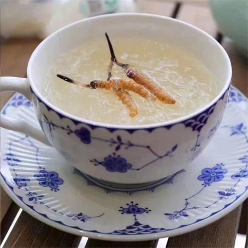 冬蟲夏草泡茶要放幾根？