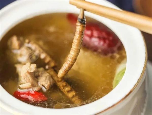冬蟲夏草能吃嗎？冬蟲夏草可以怎么吃