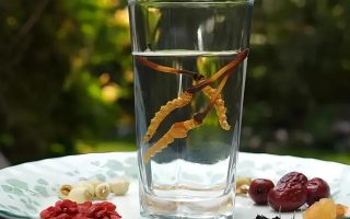 冬蟲夏草鮮品泡酒：養(yǎng)生佳釀還是健康隱患？
