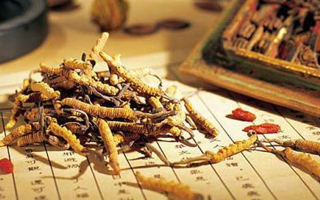 長(zhǎng)期吃冬蟲夏草的好處：傳統(tǒng)滋補(bǔ)與現(xiàn)代健康的奇妙碰撞