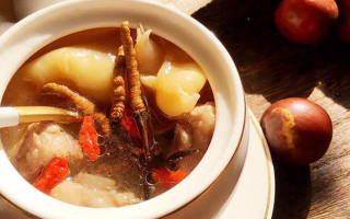 冬蟲(chóng)夏草與什么泡水喝？養(yǎng)生搭配指南