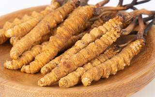 冬蟲夏草產(chǎn)品多少錢