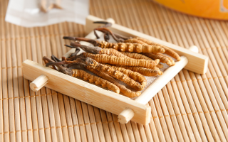冬蟲夏草一般多少錢一斤？價格背后的價值解析