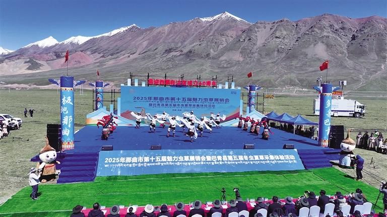 雪域高原迎盛會(huì) 蟲草之鄉(xiāng)展新顏——那曲市第十五屆魅力蟲草展銷會(huì)暨巴青縣第五屆冬蟲夏草采集體驗(yàn)活動(dòng)盛大開(kāi)幕